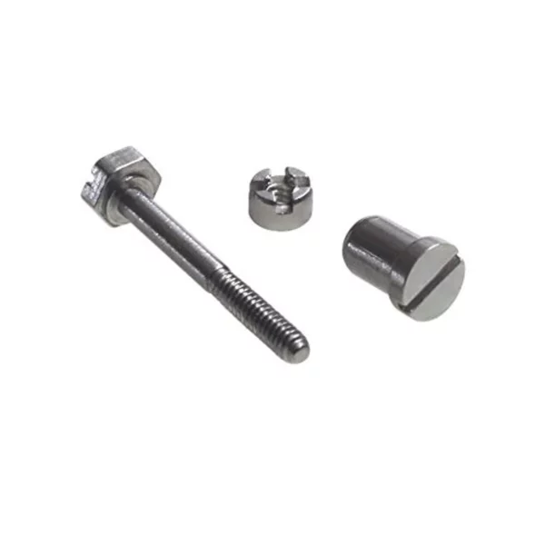 31xEPZME8wL._UL1500.jpg Stainless Steel Bezel Screw for Audemars Piguet Royal Oak/Offshore - 44mm