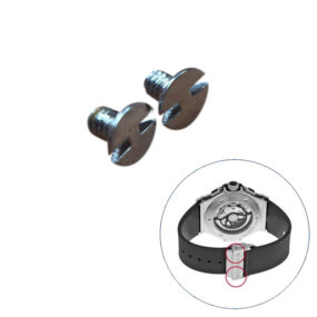 Steel Buckle Screws Hublot Big Bang, Classic Fusion In Stainless Steel