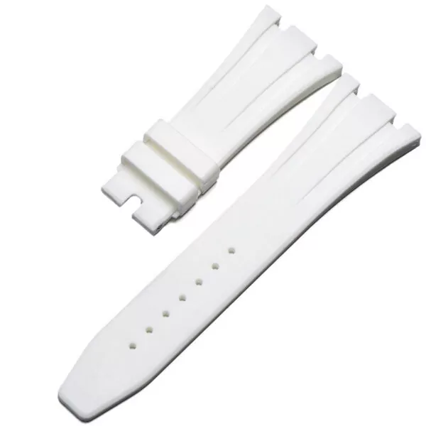 Audemars_Piguet_Straps_Parts_362 - Nex style (1) copy Silver Case & Rubber Strap Casio G-Stock GA-2100, 2110 Conversion Kit Royal Oak